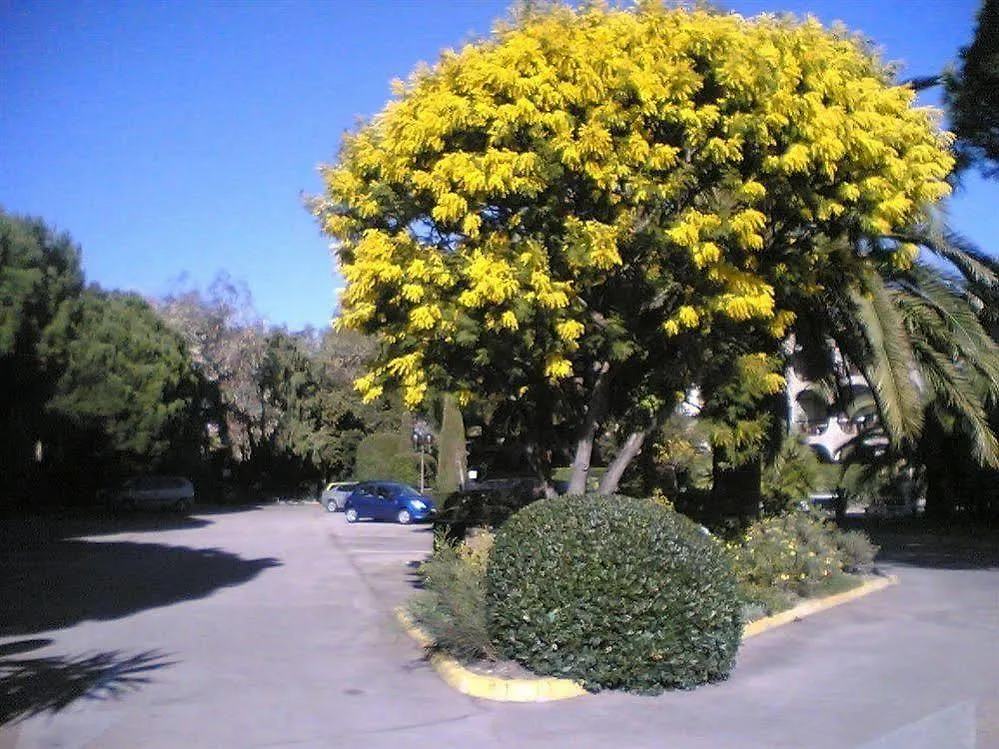 Hotel Bahia Villeneuve-Loubet