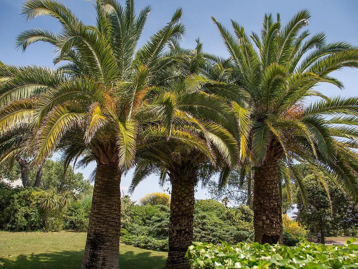 Hotel Bahia Villeneuve-Loubet 3*,